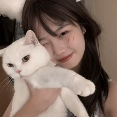 小甜心炮弹游戏下载